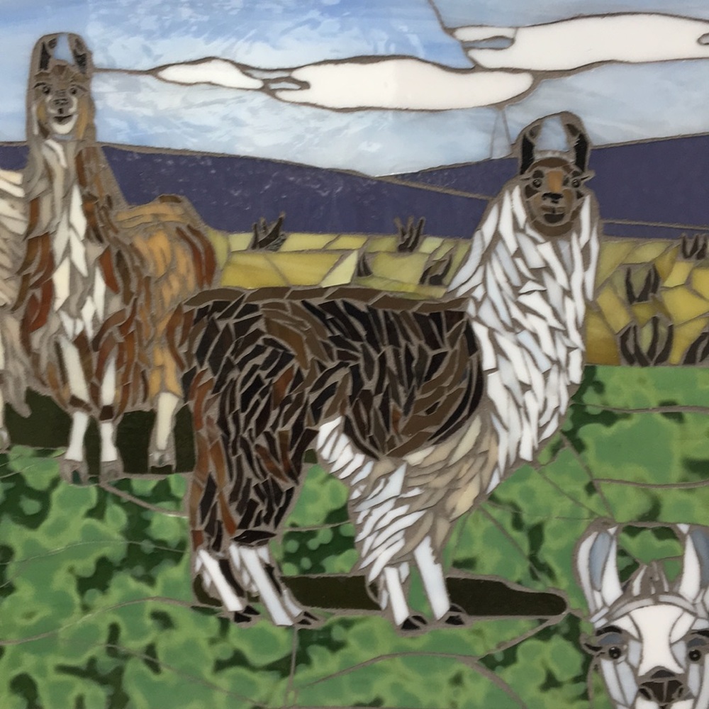 Meet your Posher, Panama of the Llama Lounge!